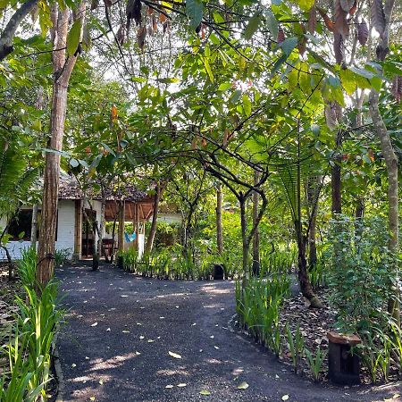 El Campito Lodge 아얌페 외부 사진