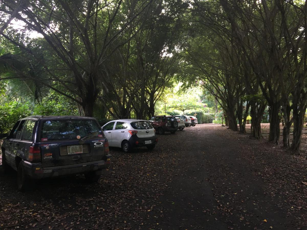 El Campito Lodge 아얌페 외부 사진