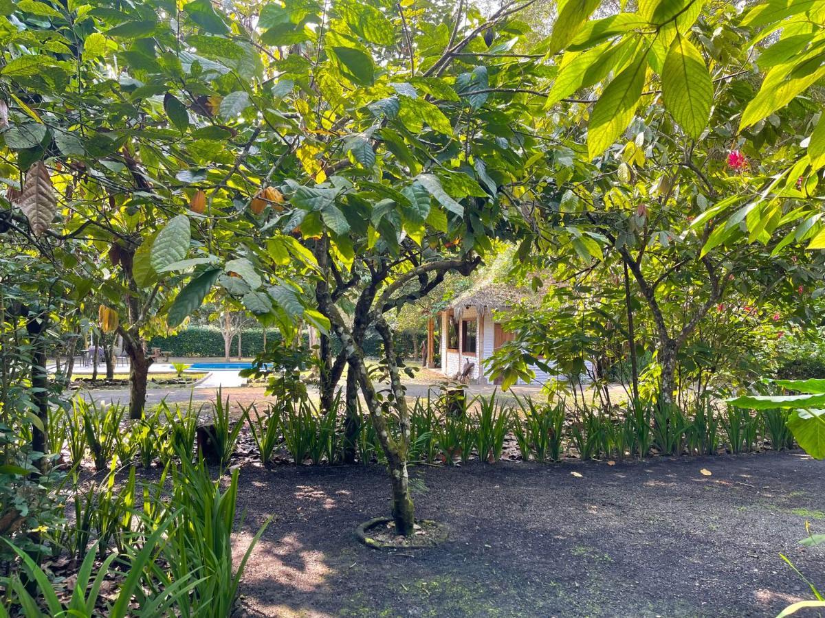 El Campito Lodge 아얌페 외부 사진