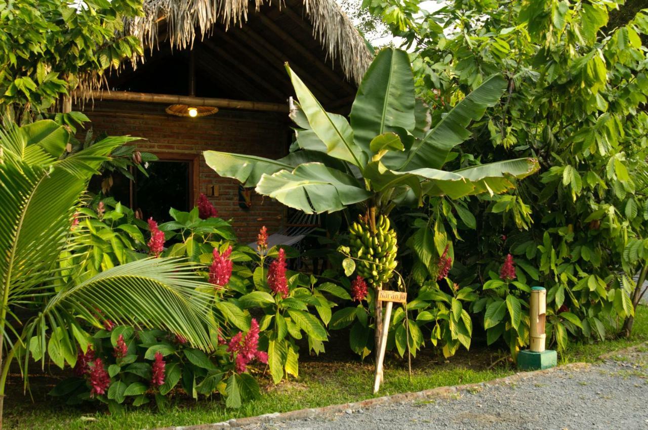 El Campito Lodge 아얌페 외부 사진