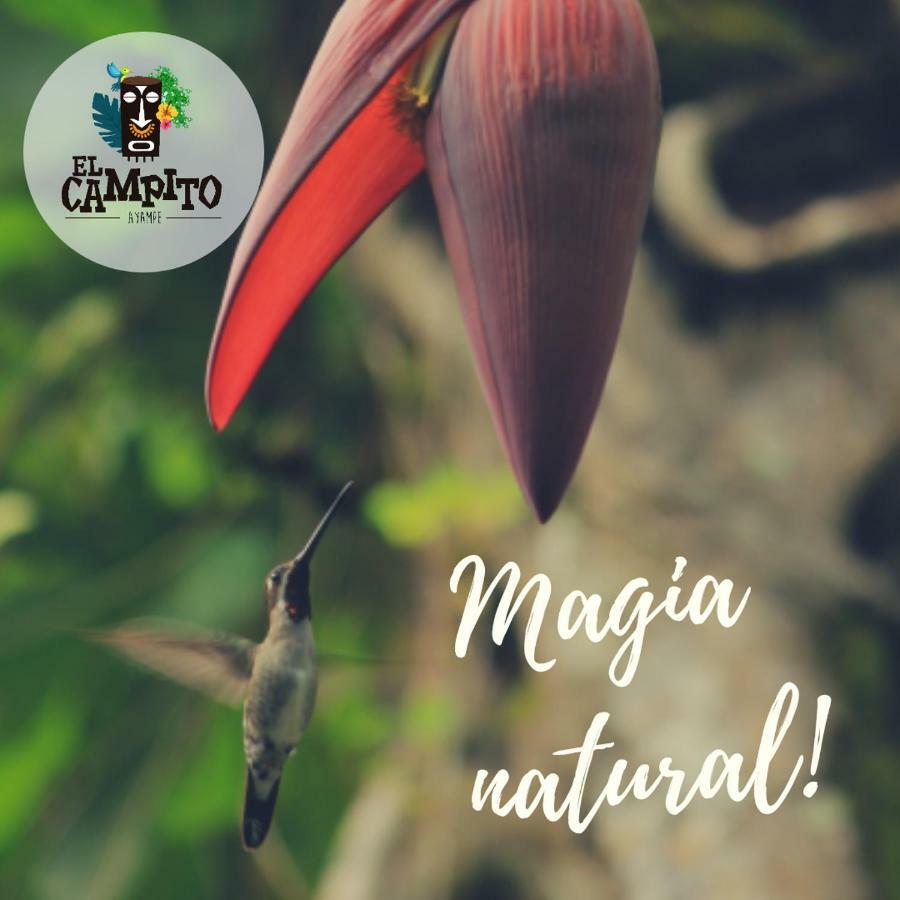 El Campito Lodge 아얌페 외부 사진